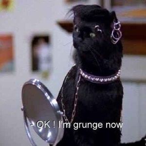 Meet your Posher, Bear